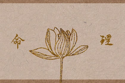 择吉皇历 老皇历 择吉2026皇历